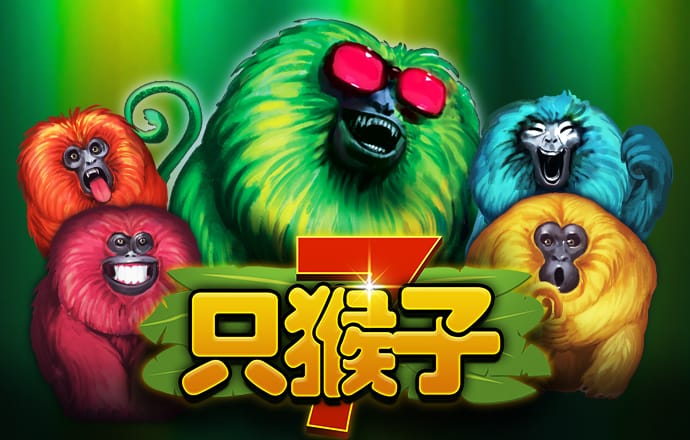 千锦娱乐下载安卓最新版